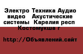 Электро-Техника Аудио-видео - Акустические системы. Карелия респ.,Костомукша г.